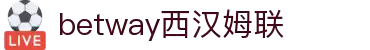 BETWAY·必威(西汉姆联)官方网站-West Ham United